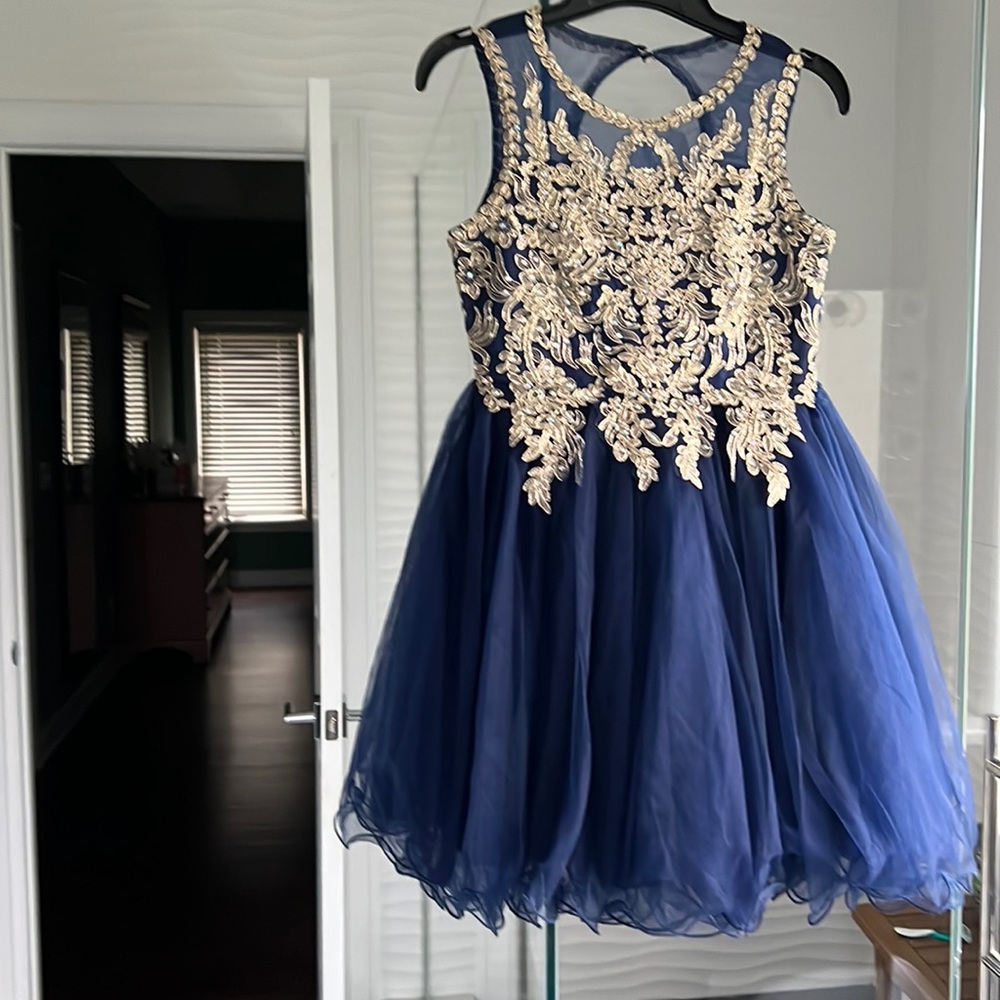 COPY - Girls rare edition special occasion dress